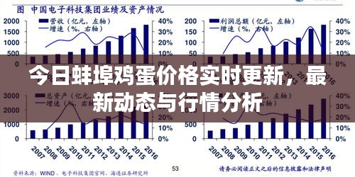 今日蚌埠雞蛋價格實(shí)時更新，最新動態(tài)與行情分析