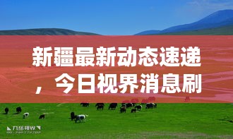 新疆最新動(dòng)態(tài)速遞，今日視界消息刷新認(rèn)知