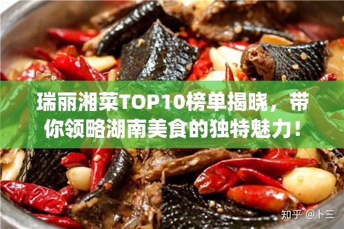 瑞麗湘菜TOP10榜單揭曉，帶你領(lǐng)略湖南美食的獨(dú)特魅力！