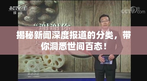 揭秘新聞深度報(bào)道的分類(lèi)，帶你洞悉世間百態(tài)！