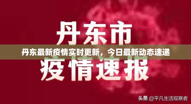 丹東最新疫情實(shí)時更新，今日最新動態(tài)速遞