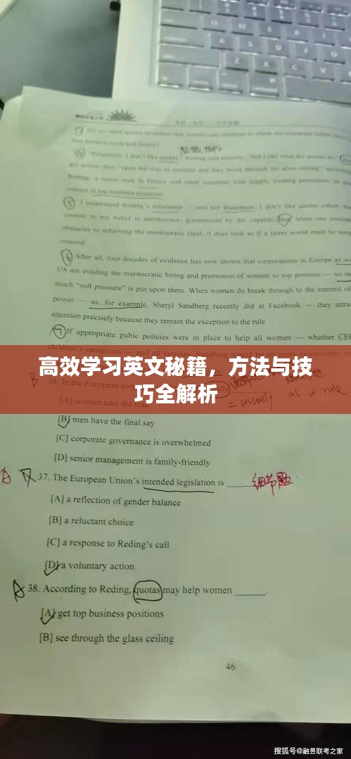 高效學(xué)習(xí)英文秘籍，方法與技巧全解析