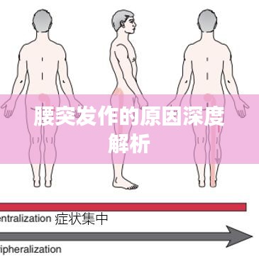 腰突發(fā)作的原因深度解析