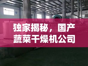 獨家揭秘，國產蔬菜干燥機公司排名及行業(yè)影響力榜單