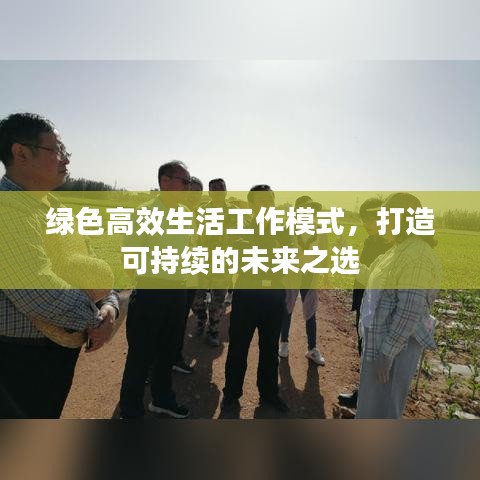 綠色高效生活工作模式，打造可持續(xù)的未來(lái)之選