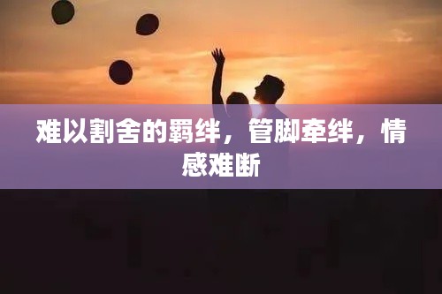 難以割舍的羈絆，管腳牽絆，情感難斷