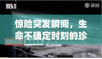 驚險(xiǎn)突發(fā)瞬間，生命不確定時(shí)刻的珍貴捕捉圖片