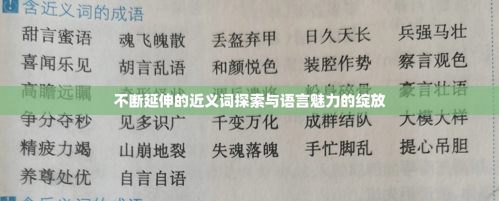 不斷延伸的近義詞探索與語(yǔ)言魅力的綻放