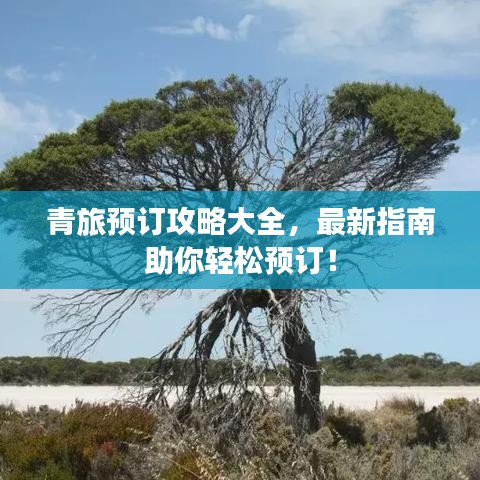 青旅預(yù)訂攻略大全，最新指南助你輕松預(yù)訂！