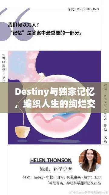 Destiny與獨家記憶，編織人生的絢爛交織網(wǎng)