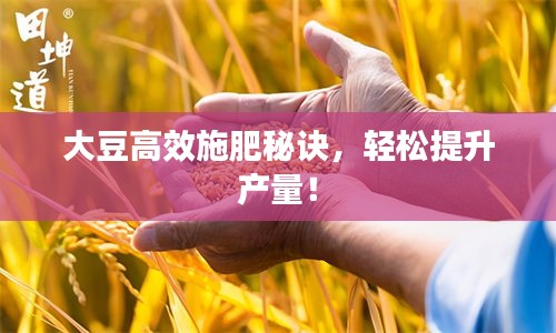 大豆高效施肥秘訣，輕松提升產(chǎn)量！