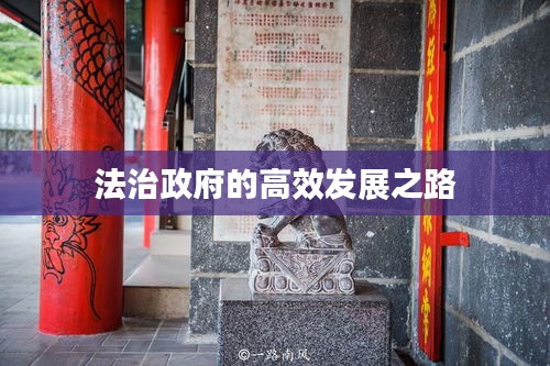 法治政府的高效發(fā)展之路