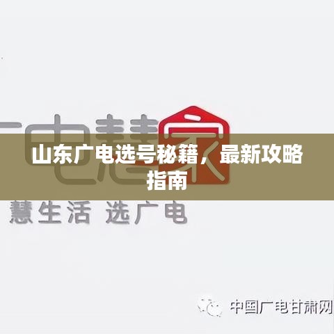 山東廣電選號(hào)秘籍，最新攻略指南