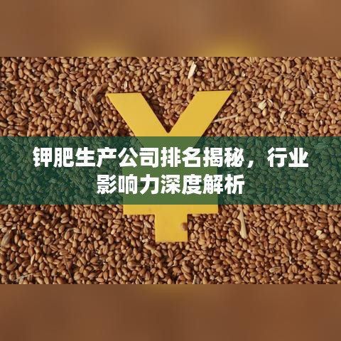 鉀肥生產(chǎn)公司排名揭秘，行業(yè)影響力深度解析