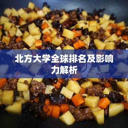 北方大學(xué)全球排名及影響力解析