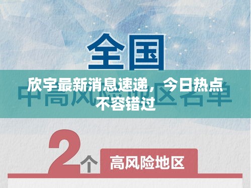 欣宇最新消息速遞，今日熱點(diǎn)不容錯(cuò)過(guò)