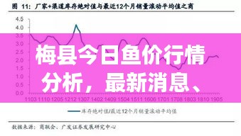 梅縣今日魚價行情分析，最新消息、市場走勢與影響因素全解析