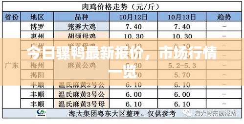 今日騾鴨最新報價，市場行情一覽