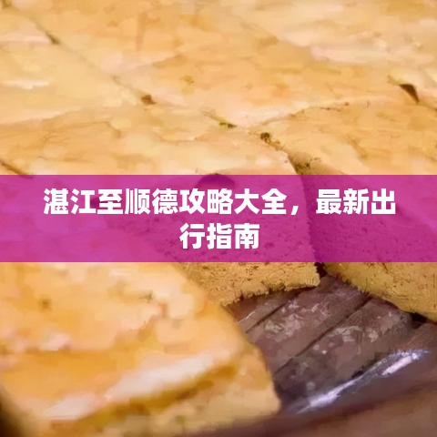 湛江至順德攻略大全，最新出行指南