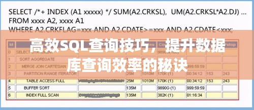 高效SQL查詢技巧，提升數(shù)據庫查詢效率的秘訣