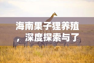 海南果子貍養(yǎng)殖，深度探索與了解