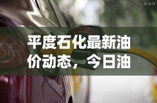 平度石化最新油價動態(tài)，今日油價表、市場反應及趨勢分析