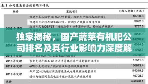 獨家揭秘，國產蔬菜有機肥公司排名及其行業(yè)影響力深度解析