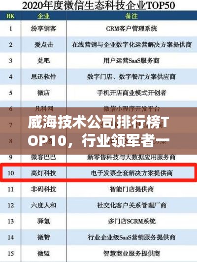 威海技術(shù)公司排行榜TOP10，行業(yè)領(lǐng)軍者一覽